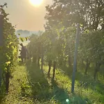 奥古斯汀沃诺特酒店 Sulzfeld am Main