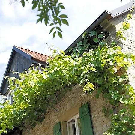 Hotel Vinotel Augustin 3*